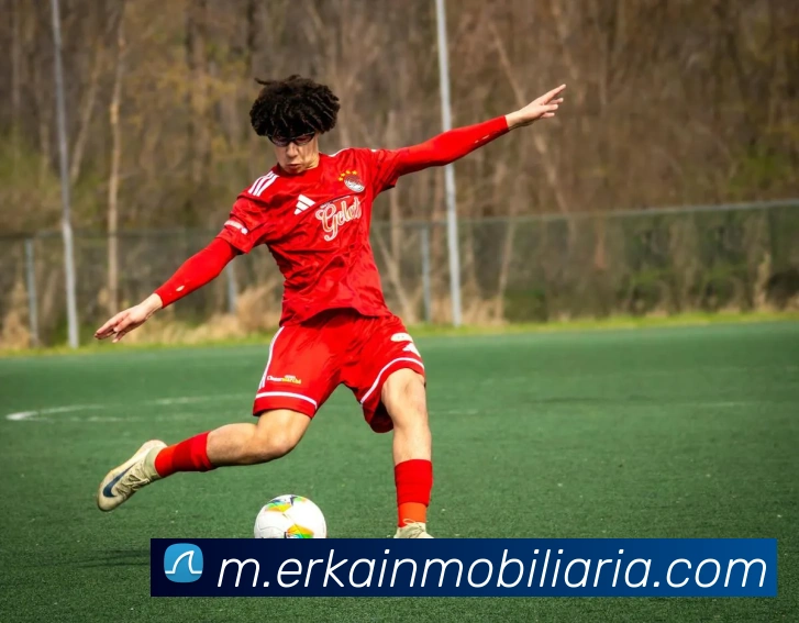 安博体育APP 高清赛事图